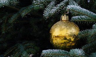 Weihnachtsbaum mit Christbaumkugel