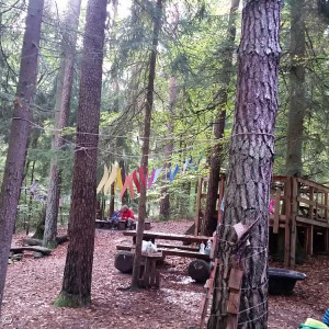 Wald
